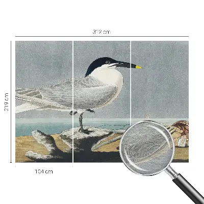 Uniek fotobehang met een ornithologisch elegant ontwerp
