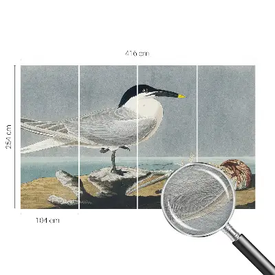 Uniek fotobehang met een ornithologisch elegant ontwerp
