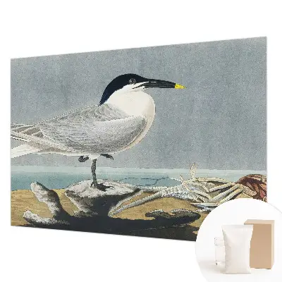 Uniek fotobehang met een ornithologisch elegant ontwerp