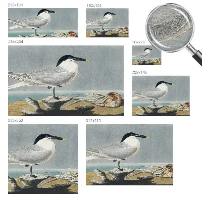 Uniek fotobehang met een ornithologisch elegant ontwerp
