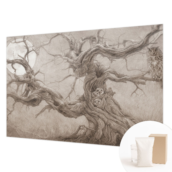 Modern fotobehang voor de woonkamer Nachtvogels
