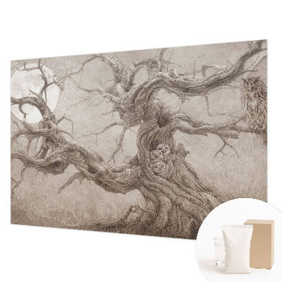 Modern fotobehang voor de woonkamer Nachtvogels