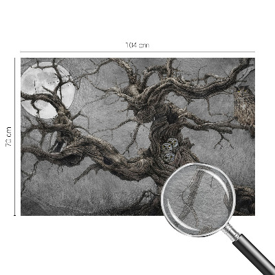 Fotobehang Mysterieuze uil