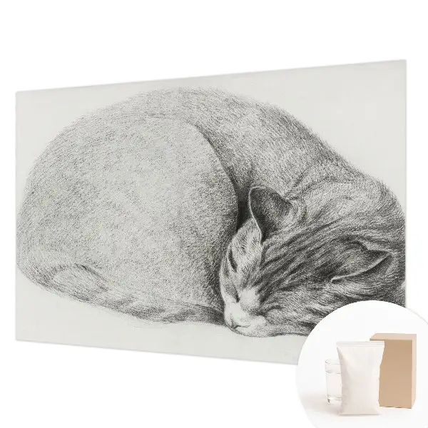 Fotobehang op maat met een opgerolde kat als motief