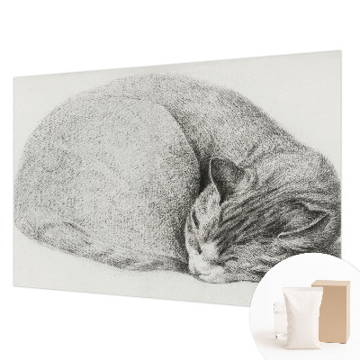 Fotobehang op maat met een opgerolde kat als motief