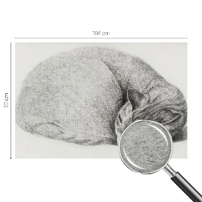 Fotobehang op maat met een opgerolde kat als motief