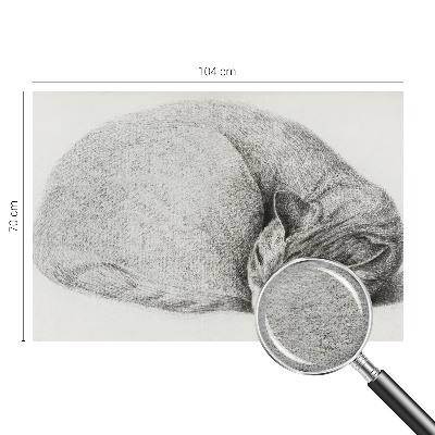 Fotobehang op maat opgerolde kat