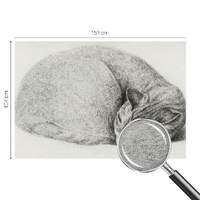 Fotobehang op maat opgerolde kat