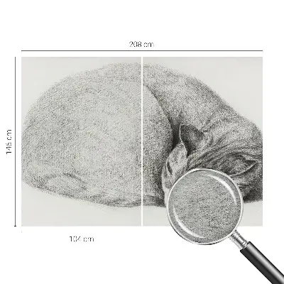 Fotobehang op maat met een opgerolde kat als motief