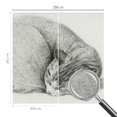 Fotobehang op maat opgerolde kat