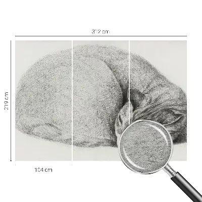Fotobehang op maat met een opgerolde kat als motief