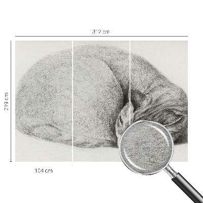 Fotobehang op maat opgerolde kat