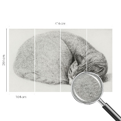 Fotobehang op maat opgerolde kat