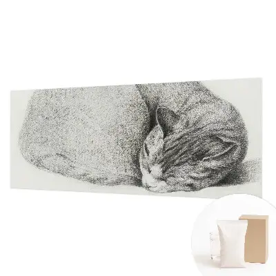 Fotobehang op maat met een opgerolde kat als motief