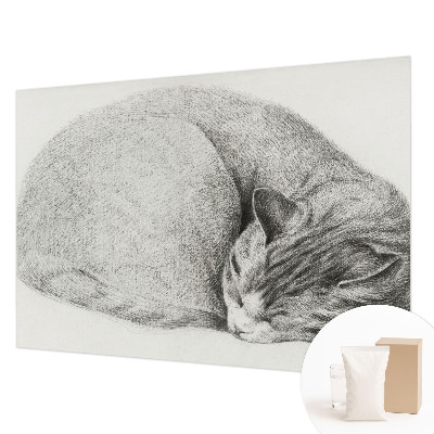 Fotobehang op maat opgerolde kat