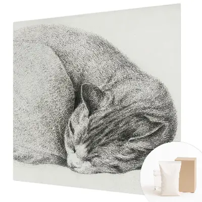 Fotobehang op maat met een opgerolde kat als motief