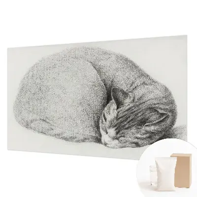 Fotobehang op maat met een opgerolde kat als motief