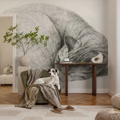 Fotobehang op maat met een opgerolde kat als motief