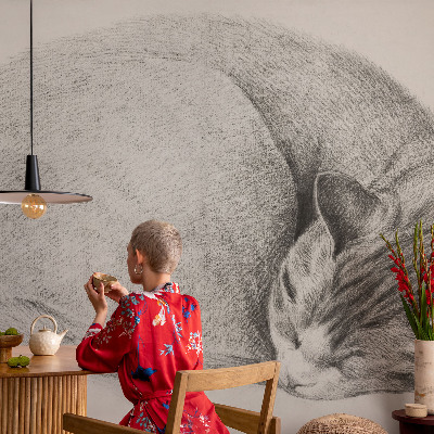 Fotobehang op maat opgerolde kat