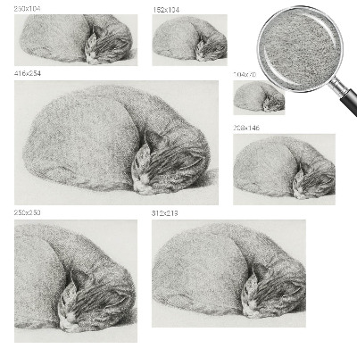 Fotobehang op maat opgerolde kat