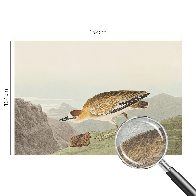 Fotobehang voor de slaapkamer Bergvogel
