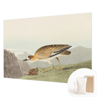 Fotobehang voor de slaapkamer Bergvogel