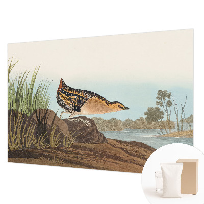 Fotobehang voor de woonkamer Natuurlijke scène