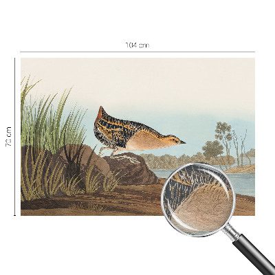 Fotobehang voor de woonkamer Natuurlijke scène