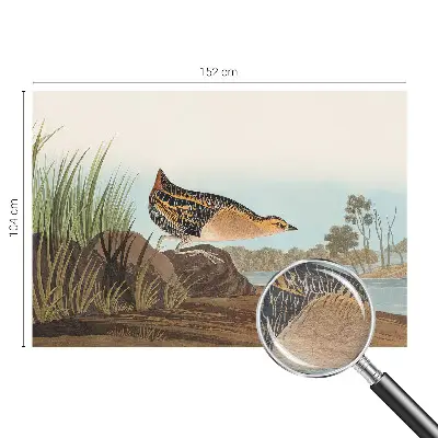 Fotobehang voor de woonkamer met een natuurlijke scène