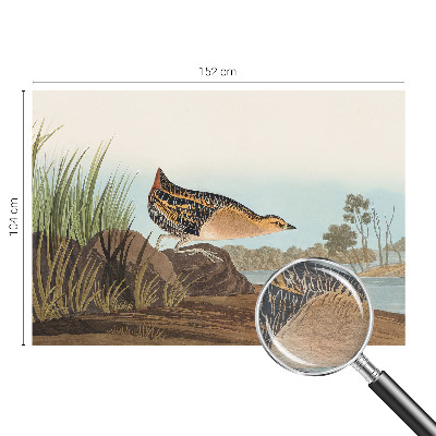 Fotobehang voor de woonkamer Natuurlijke scène
