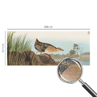Fotobehang voor de woonkamer Natuurlijke scène