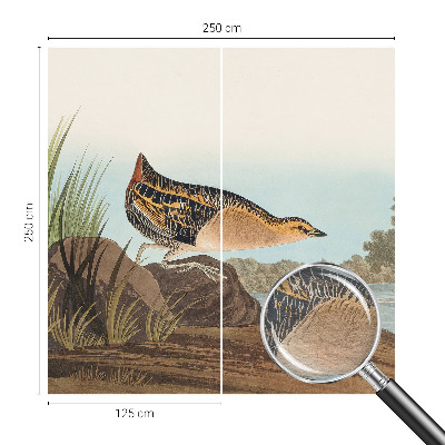 Fotobehang voor de woonkamer Natuurlijke scène
