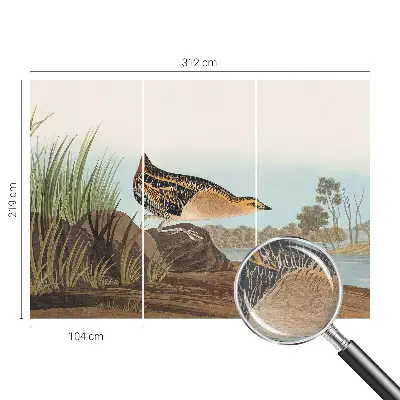 Fotobehang voor de woonkamer met een natuurlijke scène