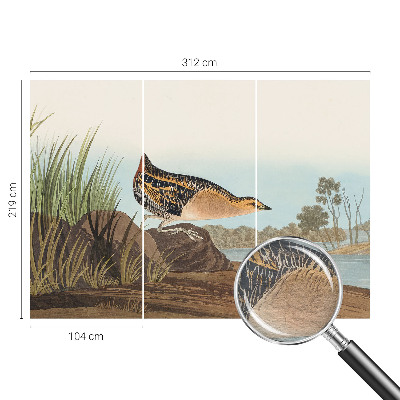 Fotobehang voor de woonkamer Natuurlijke scène