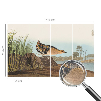 Fotobehang voor de woonkamer Natuurlijke scène