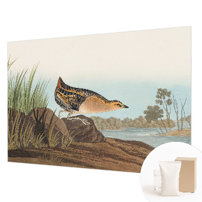 Fotobehang voor de woonkamer Natuurlijke scène