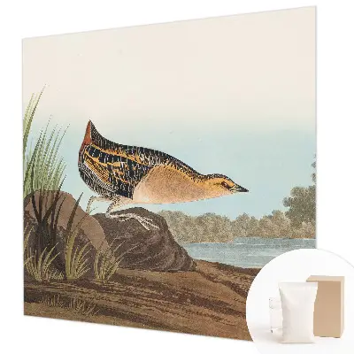 Fotobehang voor de woonkamer met een natuurlijke scène