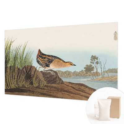 Fotobehang voor de woonkamer Natuurlijke scène