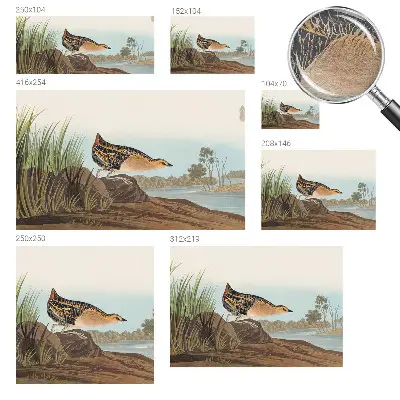 Fotobehang voor de woonkamer met een natuurlijke scène