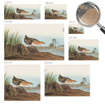 Fotobehang voor de woonkamer Natuurlijke scène