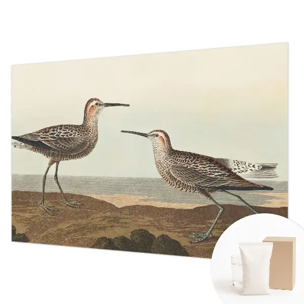 Groot fotobehang met silhouetten van vogels
