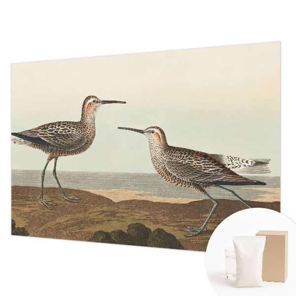 Groot fotobehang Silhouetten van vogels