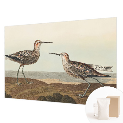 Groot fotobehang met silhouetten van vogels