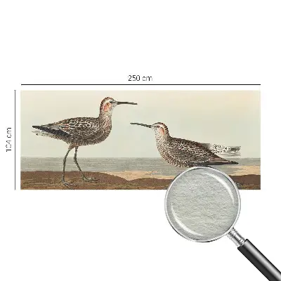 Groot fotobehang met silhouetten van vogels