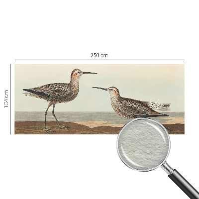 Groot fotobehang Silhouetten van vogels