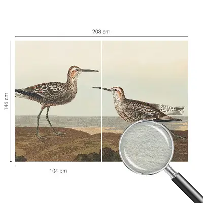 Groot fotobehang met silhouetten van vogels