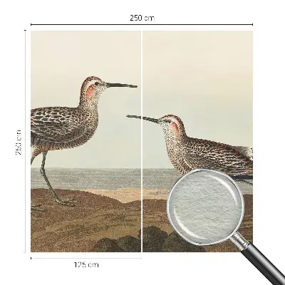Groot fotobehang met silhouetten van vogels