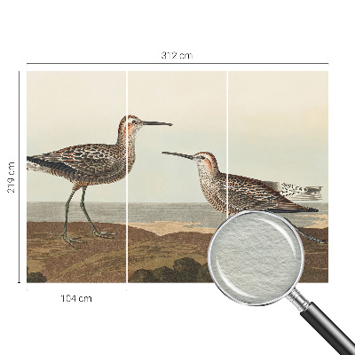 Groot fotobehang Silhouetten van vogels