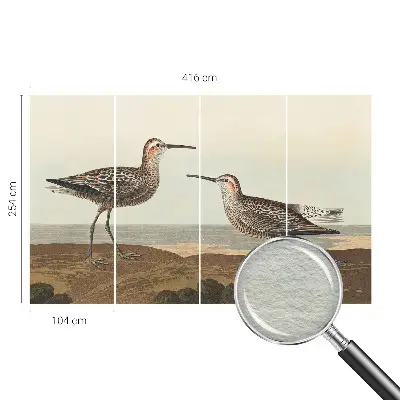 Groot fotobehang met silhouetten van vogels