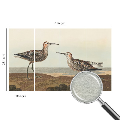 Groot fotobehang Silhouetten van vogels